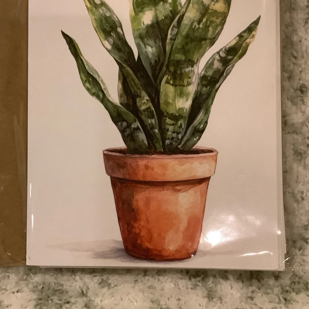 Green Plants Watercolor Variety Note Cards Set of Six NWT 4.25x5.5” - Picture 4 of 13